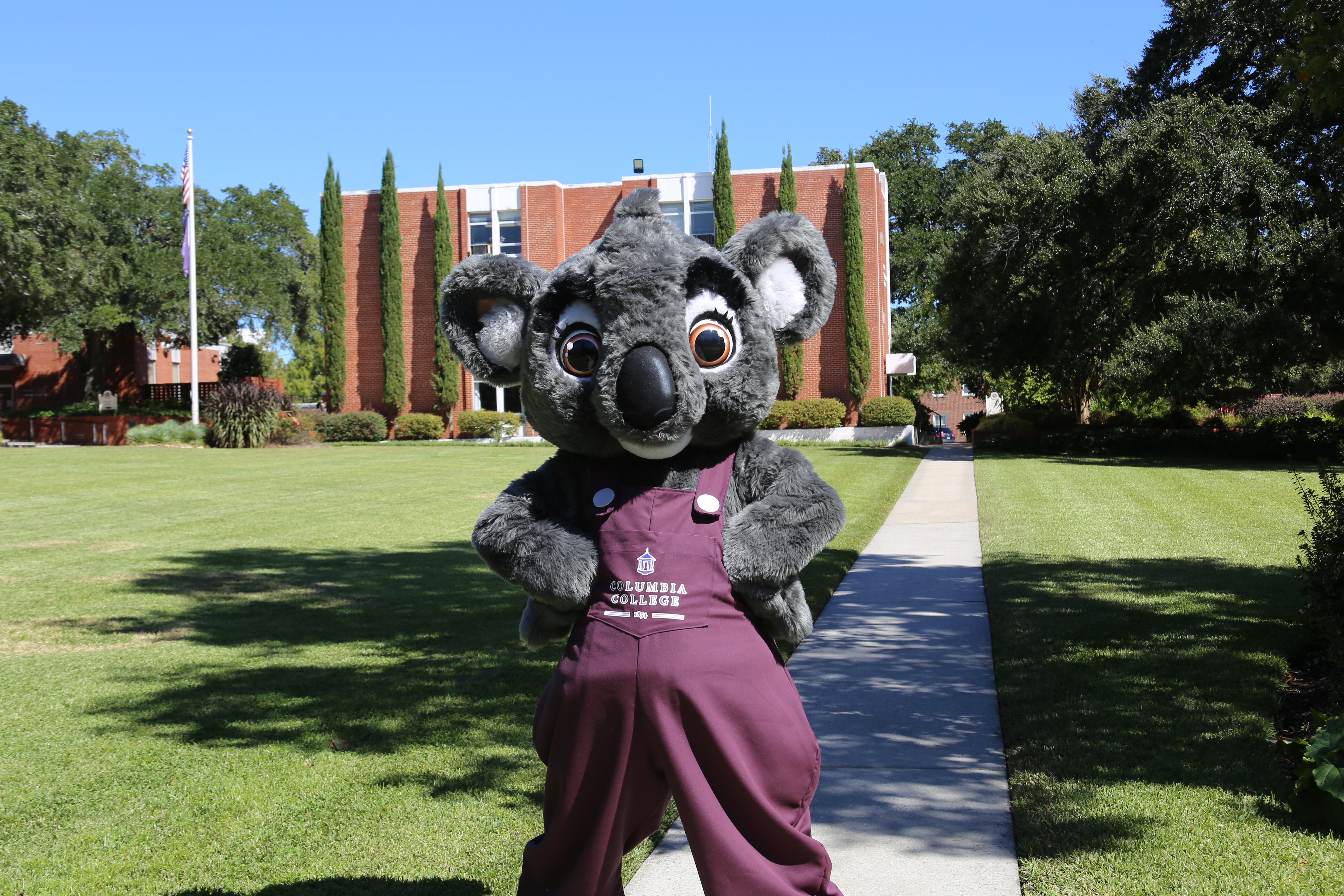 An image of the Columbia College Mascot, CeCe the Koala.