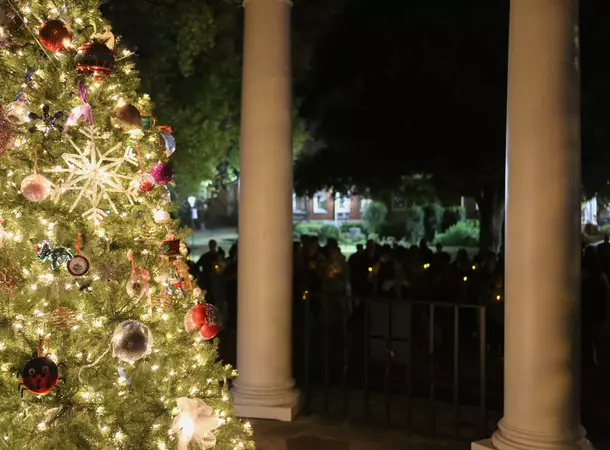 Christmas Tree
