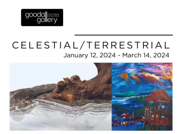 goodall gallery opening imagery