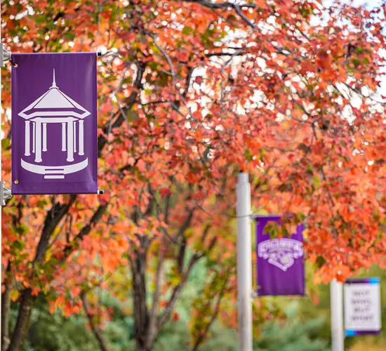 Image of pole banners